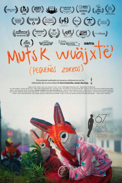 Póster de Pequeños zorros