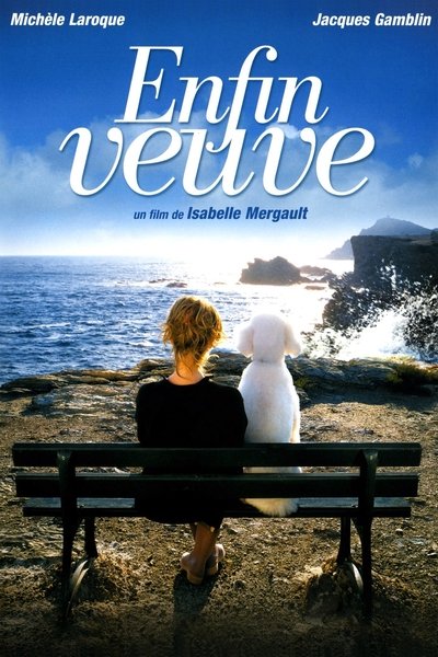 Póster de Per fi viuda
