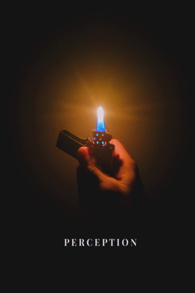Póster de Perception