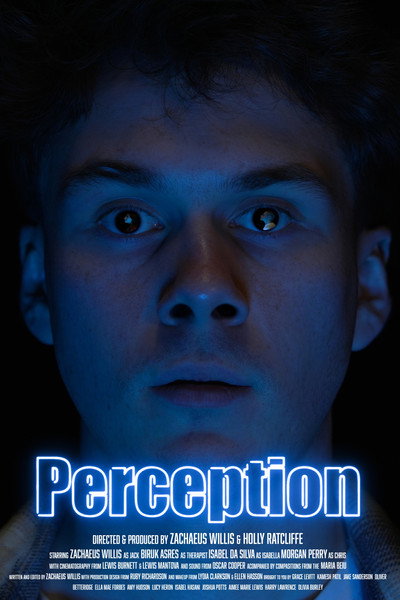 Póster de Perception