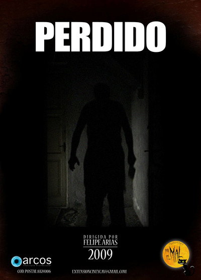 Póster de Perdido
