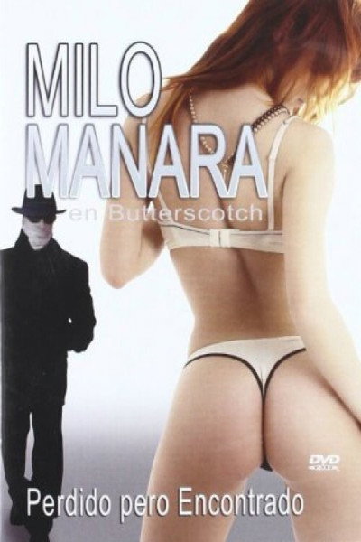 Póster de Perdido, pero encontrado