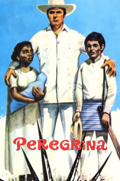 Póster de Peregrina