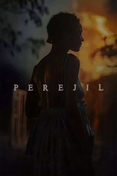 Póster de Perejil