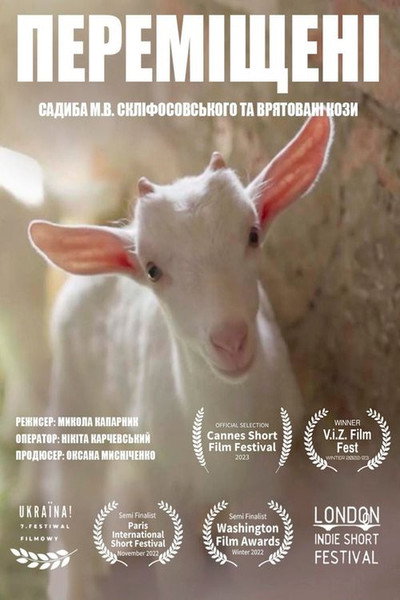 Póster de Peremishcheni. Sadyba M.V. Sklifosovskoho ta vriatovani kozy