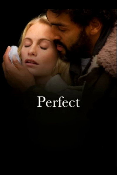 Póster de Perfect