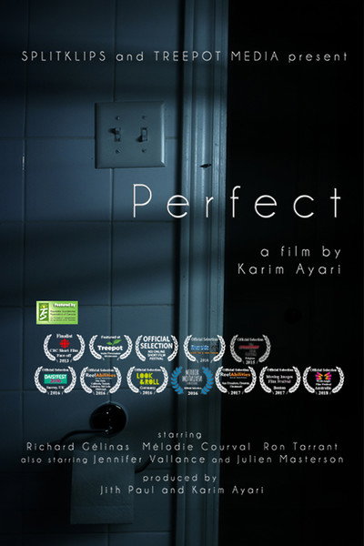 Póster de Perfect