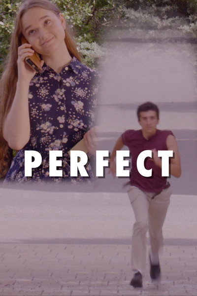 Póster de Perfect