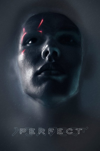 Póster de Perfect