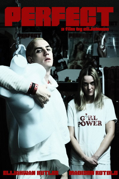 Póster de Perfect