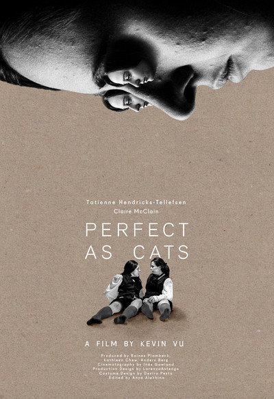 Póster de Perfect as Cats