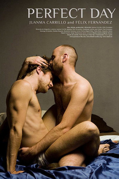 Póster de Perfect Day