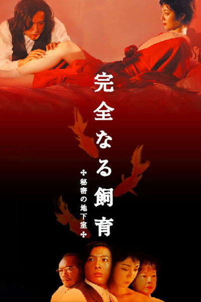 Póster de Perfect Education 4: Secret Basement