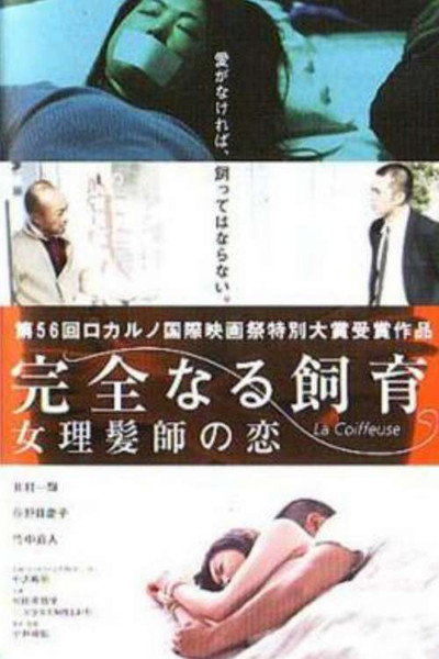 Póster de Perfect Education 5: Amazing Story