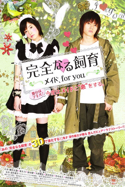 Póster de Perfect Education: Maid, for You