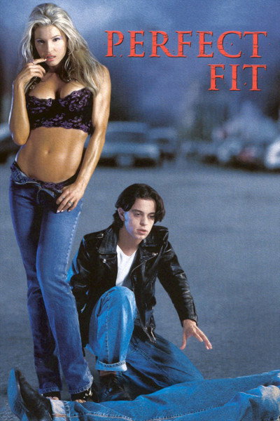 Póster de Perfect Fit