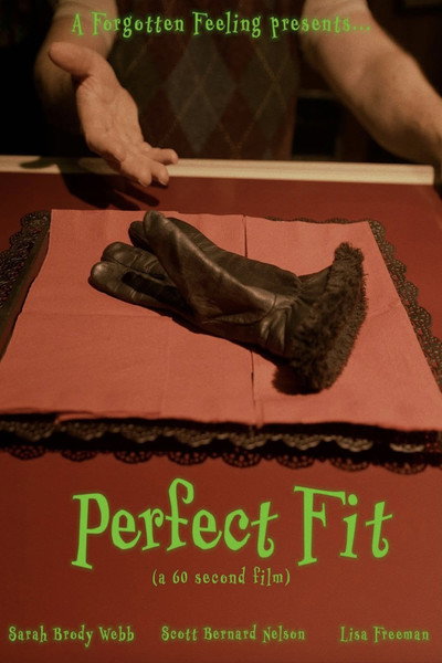 Póster de Perfect Fit