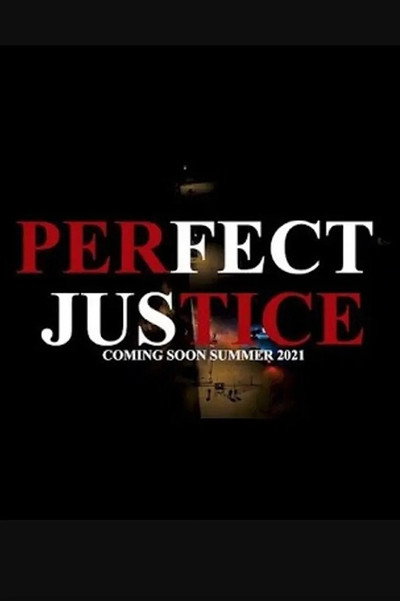 Póster de Perfect Justice