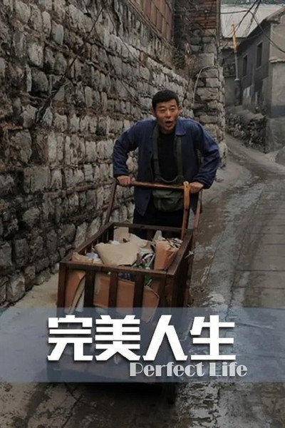 Póster de Perfect Life