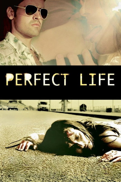 Póster de Perfect Life