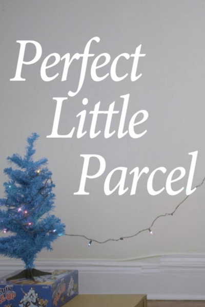 Póster de Perfect Little Parcel