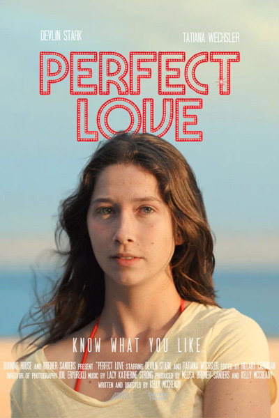 Póster de Perfect Love