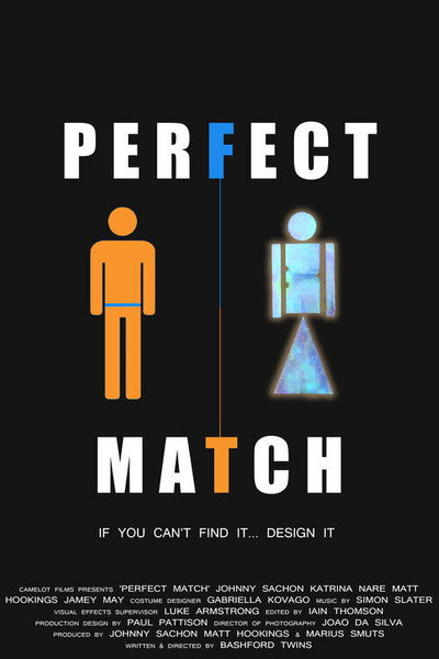 Póster de Perfect Match
