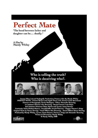 Póster de Perfect Mate