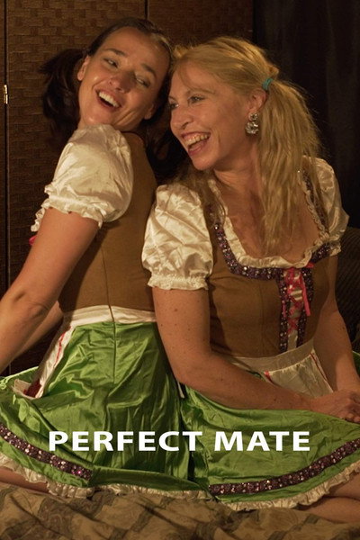 Póster de Perfect Mate