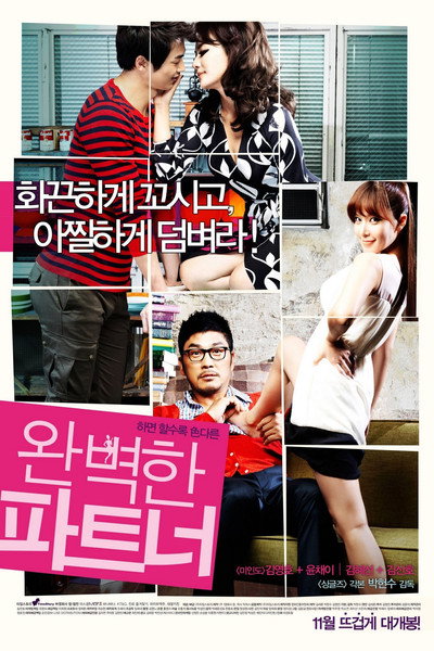 Póster de Perfect Partner