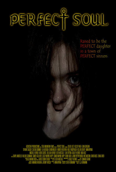 Póster de Perfect Soul