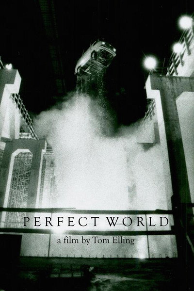 Póster de Perfect World