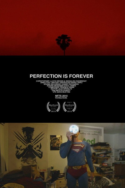 Póster de Perfection Is Forever