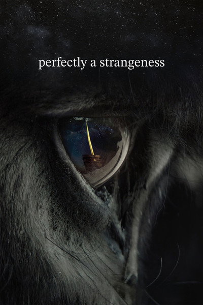 Póster de Perfectly a Strangeness