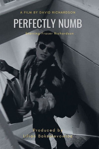 Póster de Perfectly Numb