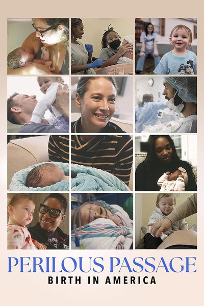 Póster de Perilous Passage: Birth in America