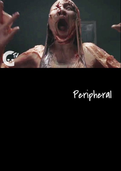 Póster de Peripheral