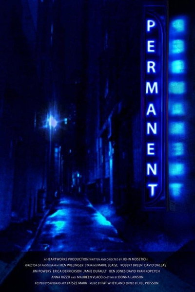 Póster de Permanent