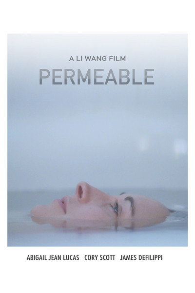 Póster de Permeable