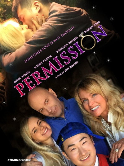 Póster de Permission