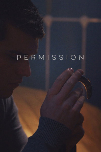 Póster de Permission