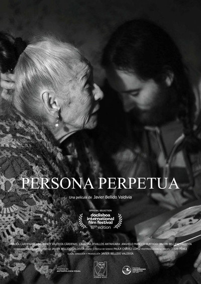 Póster de Perpetual Person