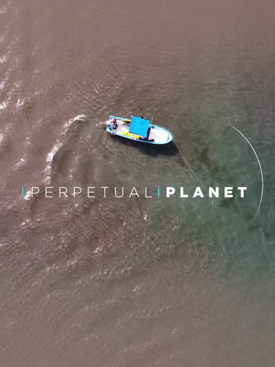 Póster de Perpetual Planet: Calakmul