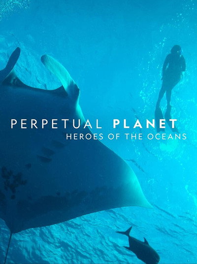 Póster de Perpetual Planet: Heroes of the Oceans