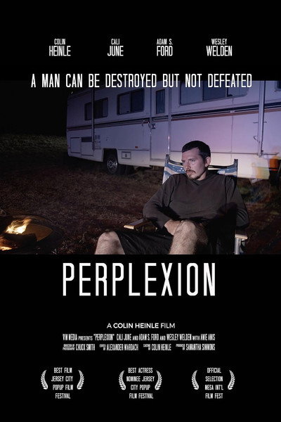 Póster de Perplexion