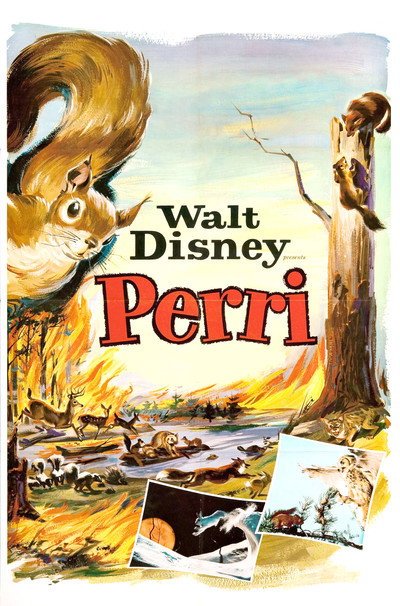 Póster de Perri