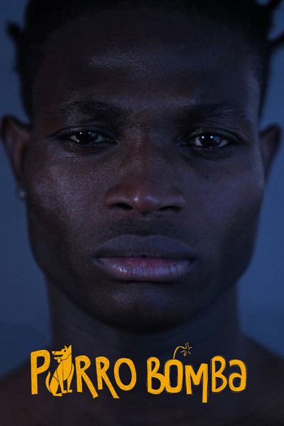 Póster de Perro Bomba