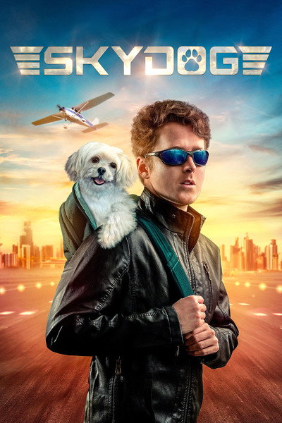 Póster de Perro del cielo