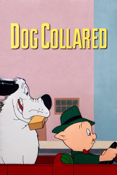 Póster de Perro extraviado