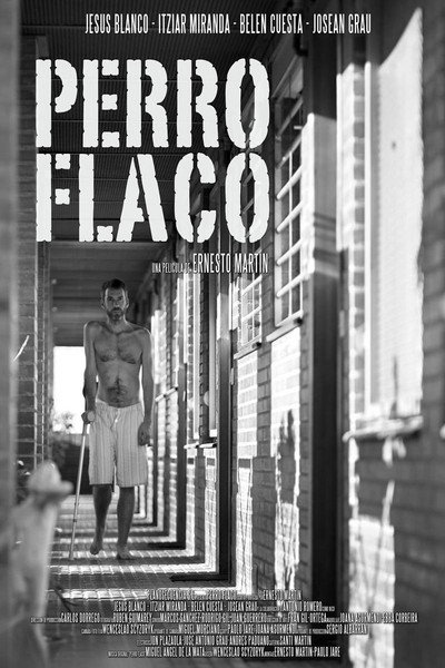 Póster de Perro flaco